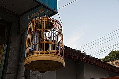 《师父》推出真人实景短片为游戏造势